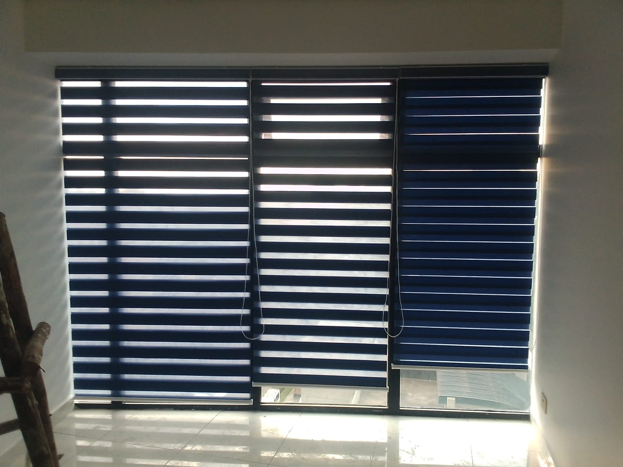 Zebra Blinds