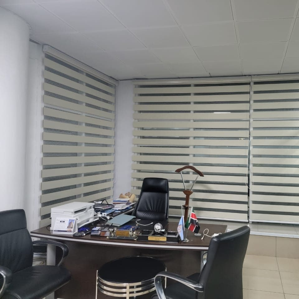 Zebra Blinds