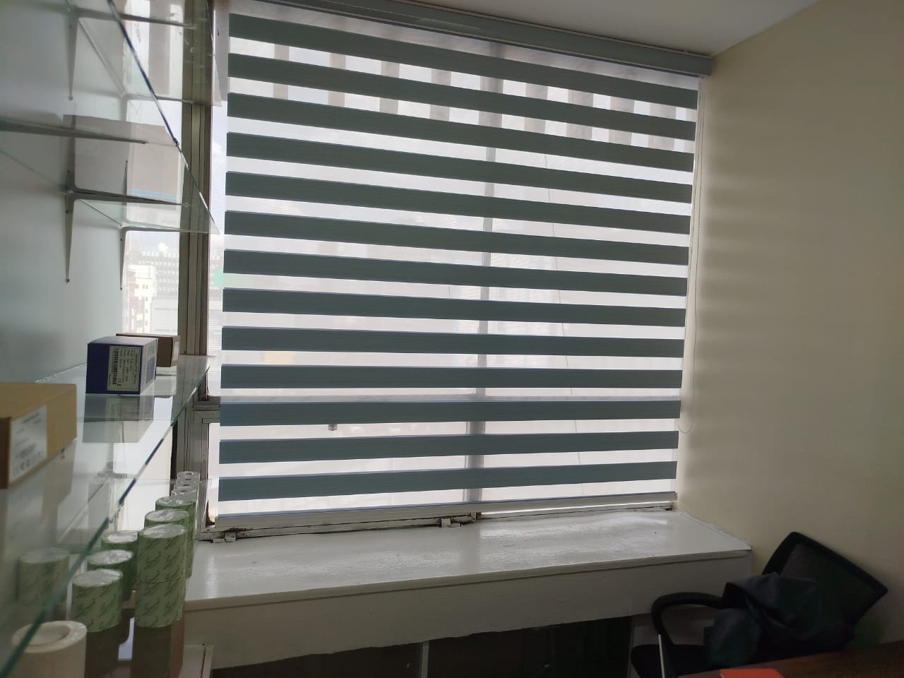 Zebra Blinds